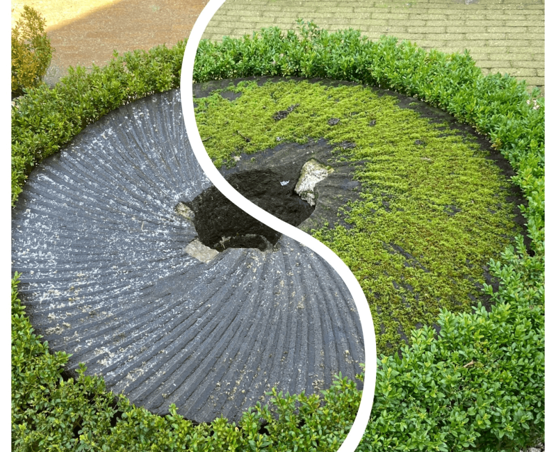 Mr. SoftWash - SoftWash Noord Holland (3) (1)