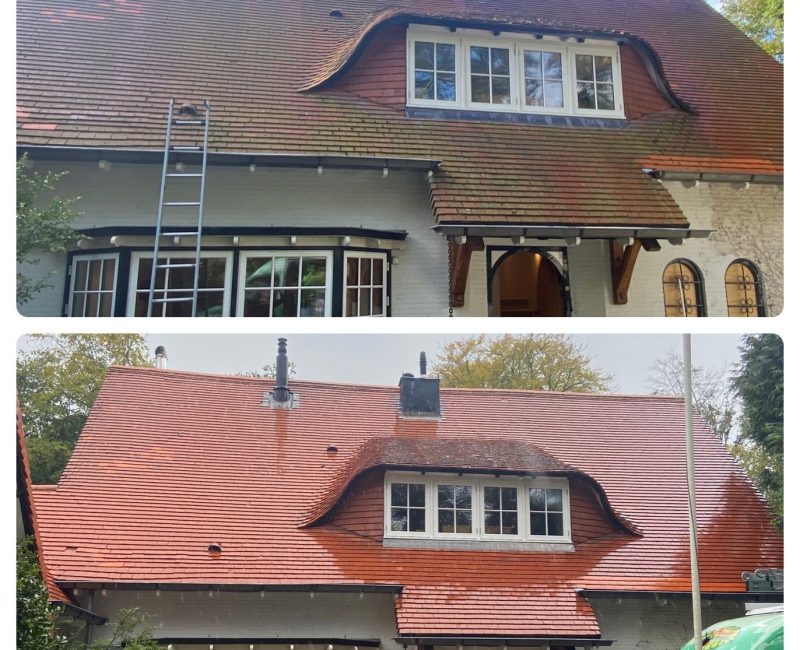 SoftWash reiniging Amsterdam (18)