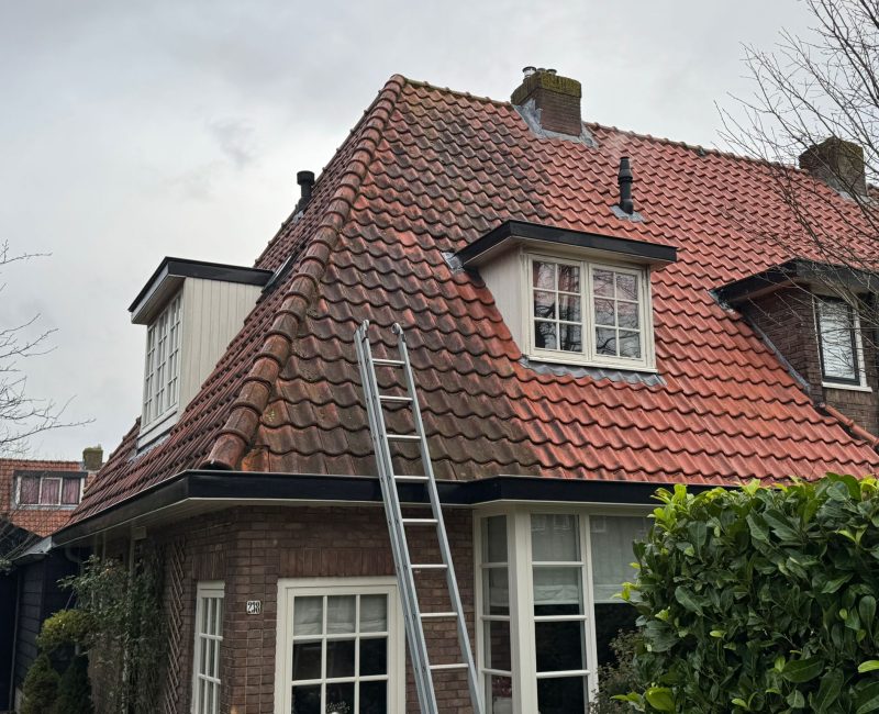 SoftWash reiniging Amsterdam (3)