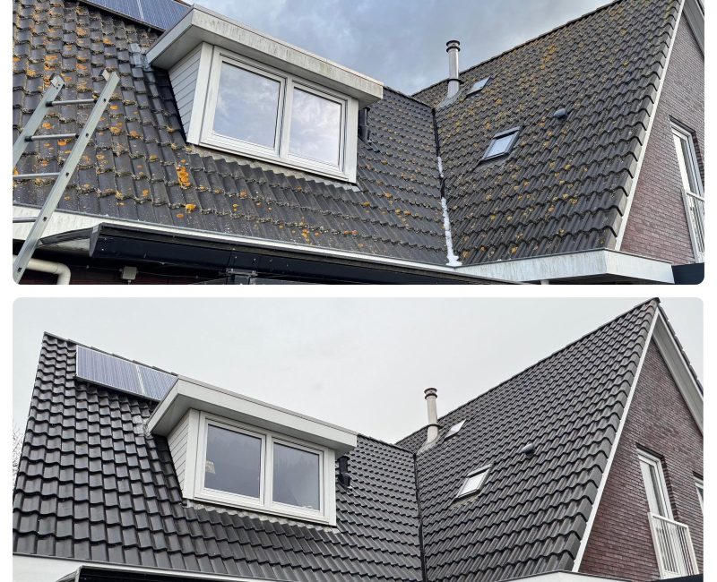 SoftWash reiniging Amsterdam (5)